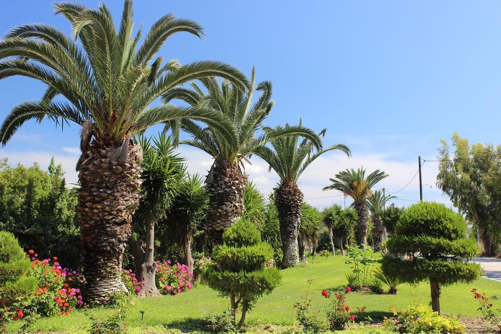 Corellia Asterias Beach Hotel Theologos (Rhodes) Ngoại thất bức ảnh